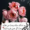 Nesreen salme - @nisreensalem345 - TikTok