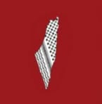Nisreen Salem - Facebook