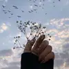 Nisreen Salem ❤ - @noosasa - TikTok