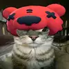 NITAAA 🐻 - @nitabearrr - TikTok