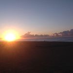 Nita Fox - @anita.cartlidge2 - Instagram