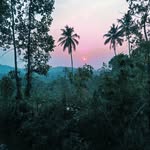 Nithin Prasad - @nith__________________in - Instagram