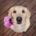 Nitin Ahuja - Facebook