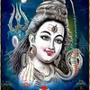 Nitin Dalal688 - @nitindalal688 - TikTok