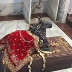Nitish Pandit - @nitish_pandit001 - Instagram