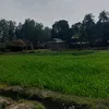 nitumehta19 - @nitumehta99 - TikTok