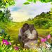 Nitza Ortiz - Facebook