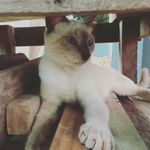 Nitzia fernanda posada perez - @fernandanitzia - Instagram
