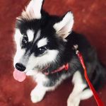 Nitzia Pérez - @nitzia_p - Instagram