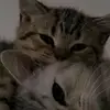 Nivia Miranda - @nivia.miranda7 - TikTok