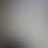howardniya4 - @howardniya4 - TikTok