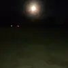 Nothanks - @nothanks._.67 - TikTok