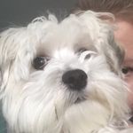 Noah Abbott - @dr.ultimate - Instagram
