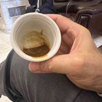 Noah Ali - Facebook
