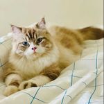 Noah Ali - @_.noahali._ - Instagram