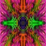 Noah Amberg - Facebook