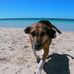 Noah Andrews - Facebook