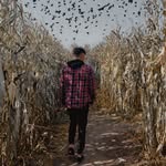 Noah Arnold - @noah.arnold22 - Instagram