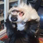 Noah - @noah._ashg05 - Instagram