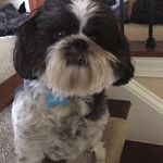 Noah - @noah.bacon - Instagram