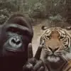 Noah Barnett - @noah.barnett91 - TikTok