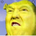 Noah Beam - @beam_noah - Instagram