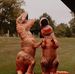 Noah Beckman - Facebook