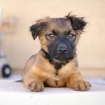 Noah Bentley - @bentley_noah - Instagram