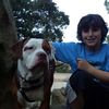 Noah Bentley - @boss_man3458 - TikTok