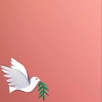 Noah Berman - Facebook