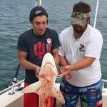Noah Blank - @noah_blank - Instagram