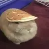 Noah Blank - @noah.blank89 - TikTok