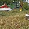 Noah Bodin - @noah.bodin - TikTok