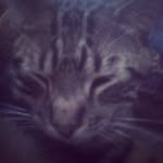 noah bosford - @noah_bosford - Instagram