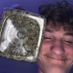 𝐍𝐨𝐚𝐡 𝐁𝐨𝐬𝐰𝐞𝐥𝐥® - @noahboswell420 - Instagram