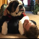 noah botelho - @noah_botelho - Instagram