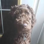 Noah Boudreau - Facebook
