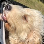 Noah Boudreau - @noah_boudreau2011 - Instagram