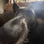 Noah Bowers - @noahcbowers - Instagram