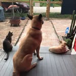Noah Brenner - @cellardweller1310 - Instagram