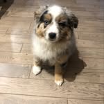Noah - @noah_brenner5 - Instagram