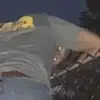 noahbrosius - @noahbrosius - TikTok