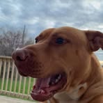 Noah Broussard - Facebook