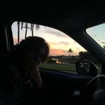 noah bryant - @noahybryant - Instagram