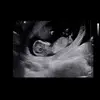 noahbryan296 - @noahbryan296 - TikTok
