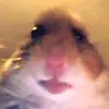 🦟 - @noahbryann - TikTok