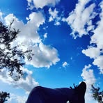 Noah Burdick - Facebook