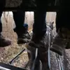 Noah Byler - @noah.byler5 - TikTok