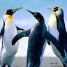 Noah Cadwell - @noahcadwell2 - TikTok