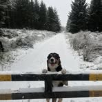 Noah Callaghan - Facebook